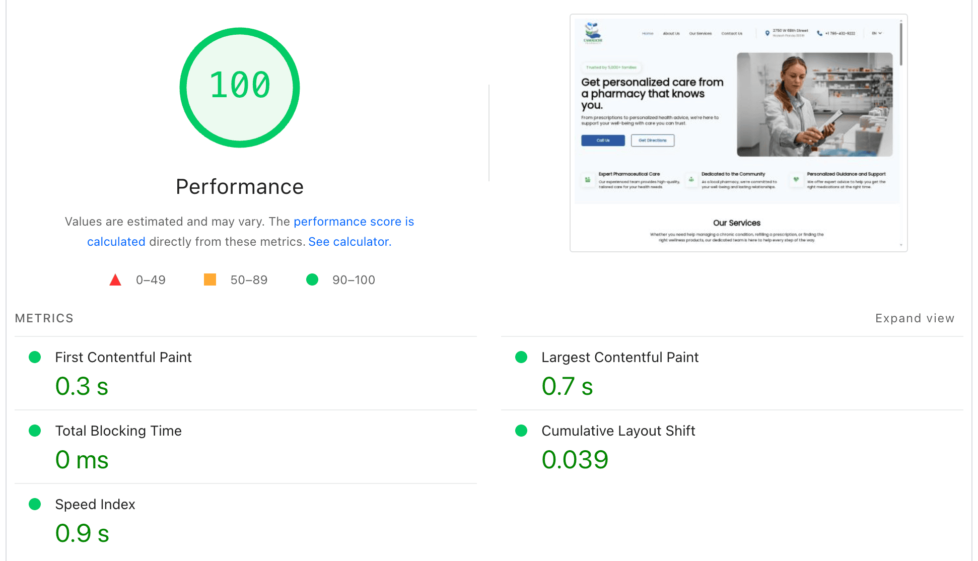 Fast-loading website with performance score of 100, showcasing a website optimization dashboard.