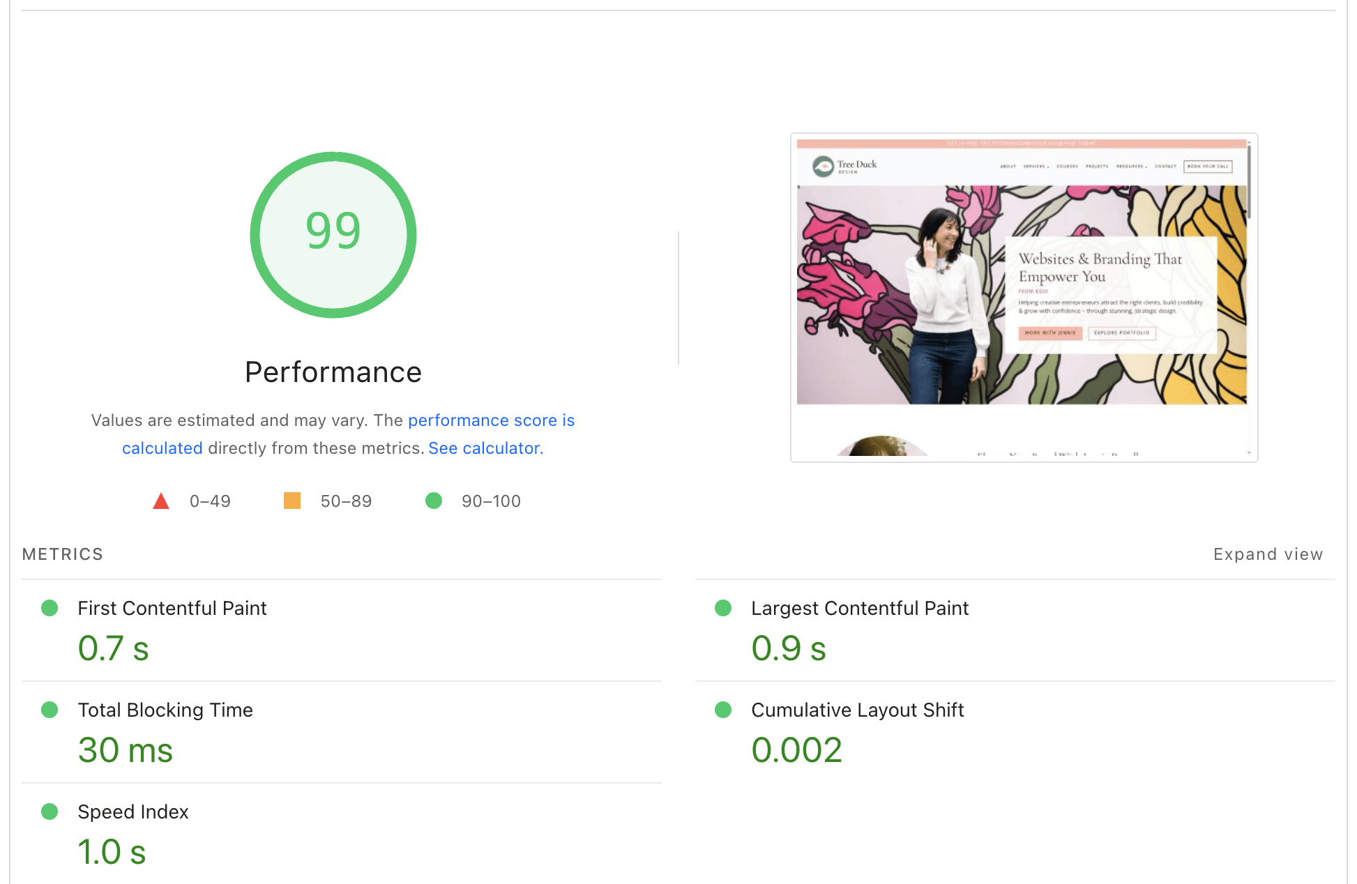Fast-loading website with optimized Core Web Vitals, including LCP, INP, and CLS, demonstrating high performance score.
